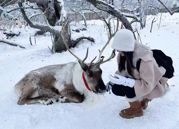 （冬季）【雪岭或老里克湖】延吉起止大巴车一日游/指定地点集合