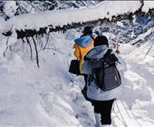 （冬季）2-6人定制游/一单一团/围炉煮茶/雪谷穿越/火山温泉/延吉/长白山北/漂流/朝鲜族民俗园/滑雪5日